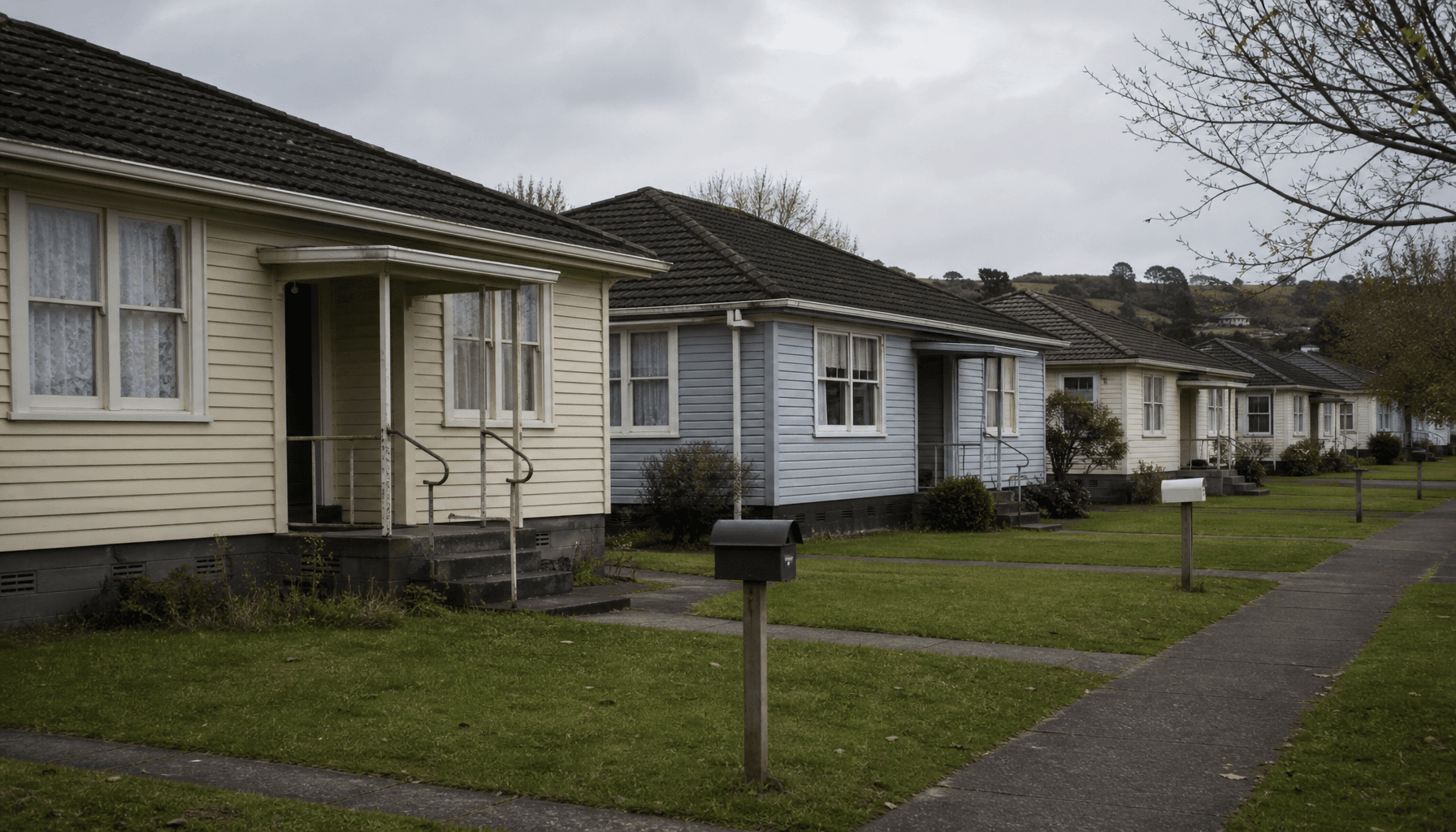 Modest New Zealand state houses on a quiet regional suburban street under overcast daylight