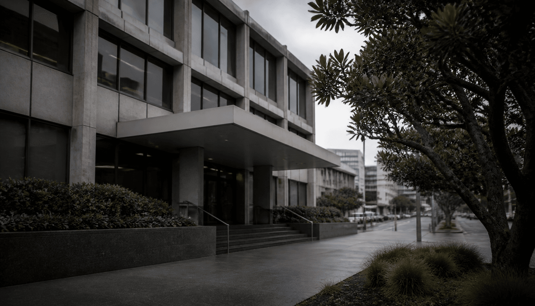 Stats NZ Wellington office building on The Terrace under overcast daylight, flanked by a pohutukawa tree