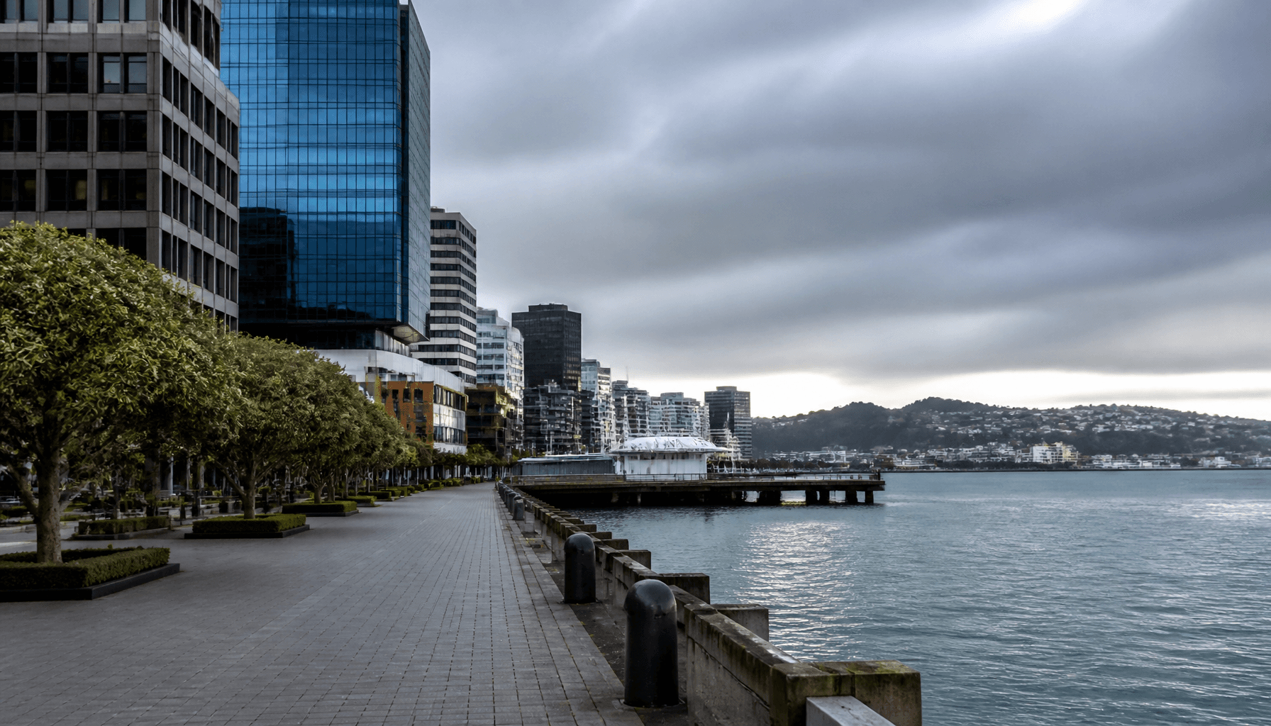 Wellington harbour waterfront and office towers under overcast light