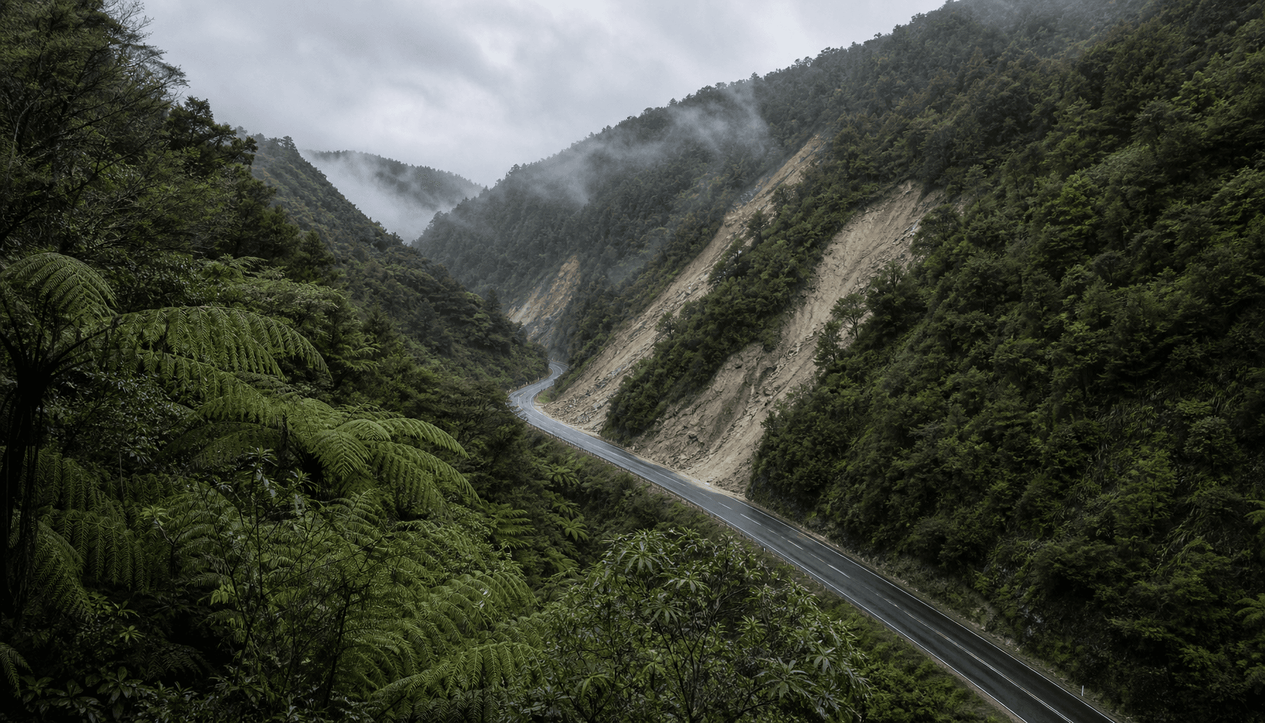 Waioweka Gorge highway corridor on New Zealand's East Coast, with slip scars on steep native-bush hillsides above the empty wet road