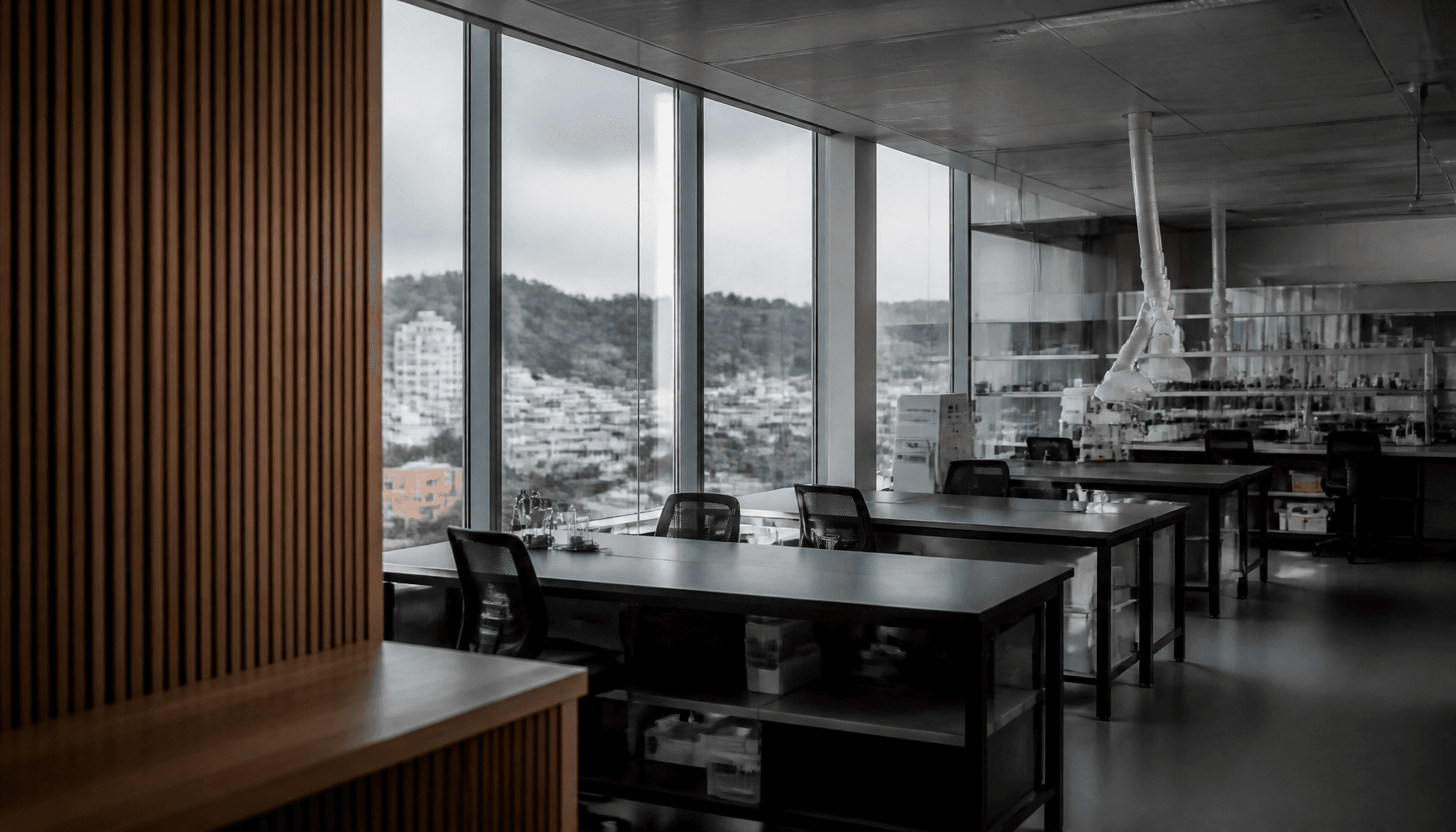 Wellington research workspace evoking innovation investment debate